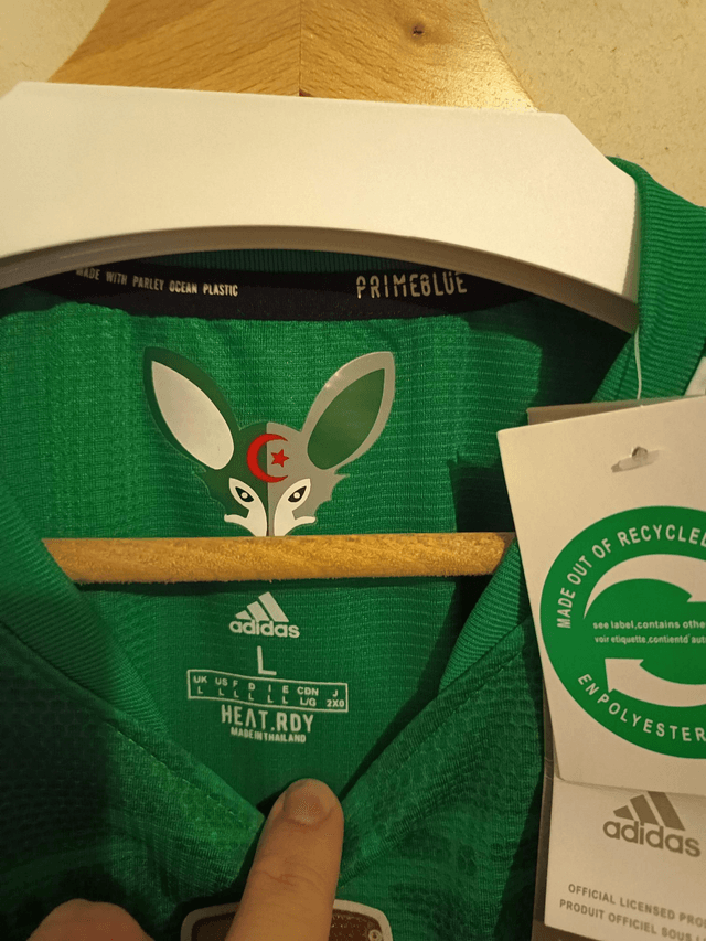 Maillot de foot Les fennecs vert