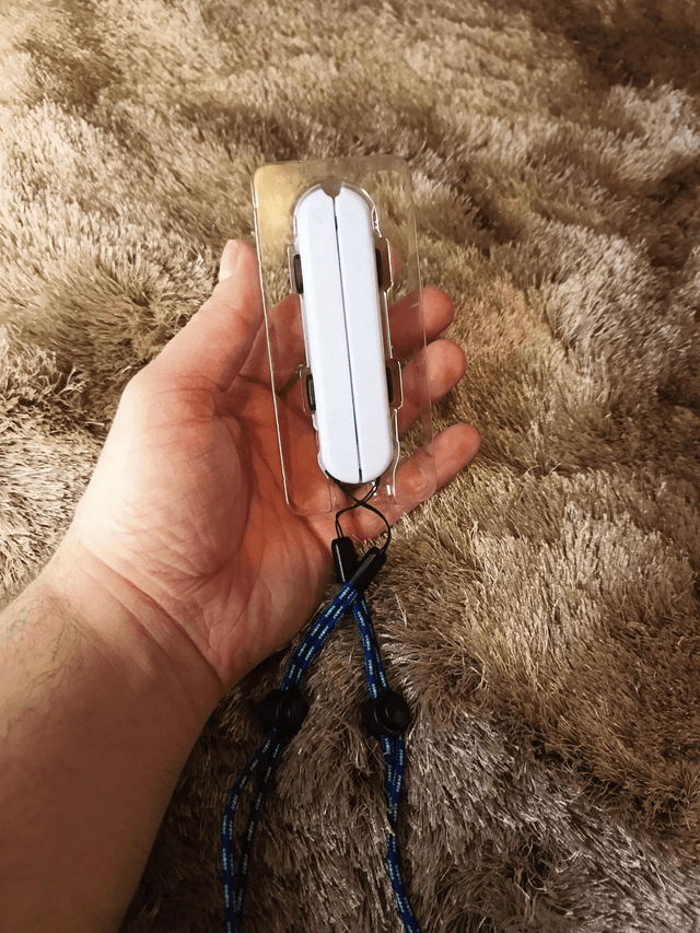 Dragonne pour Nintendo Switch