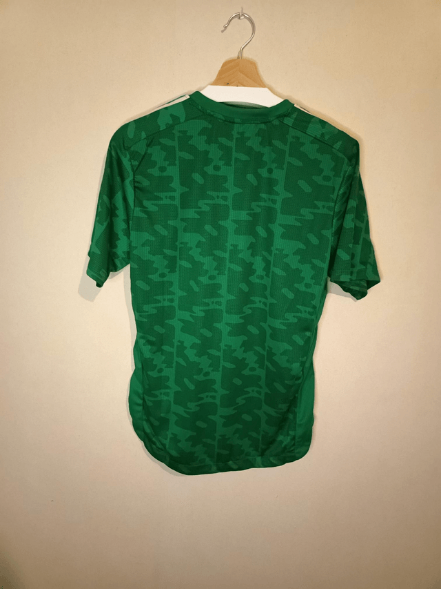 Maillot de foot Les fennecs vert